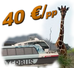 prijs voor een dropping Experience in Antwerpen