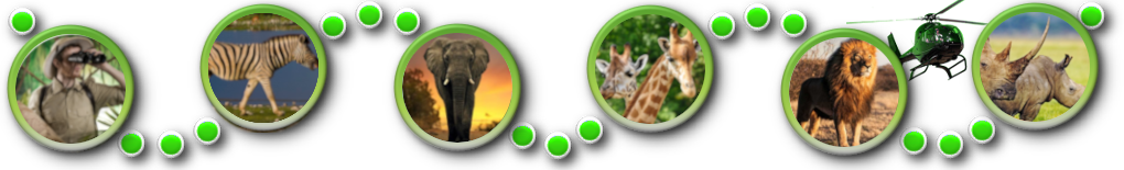 prijs voor een Safari in Antwerpen