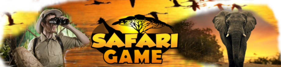 Safari Experience